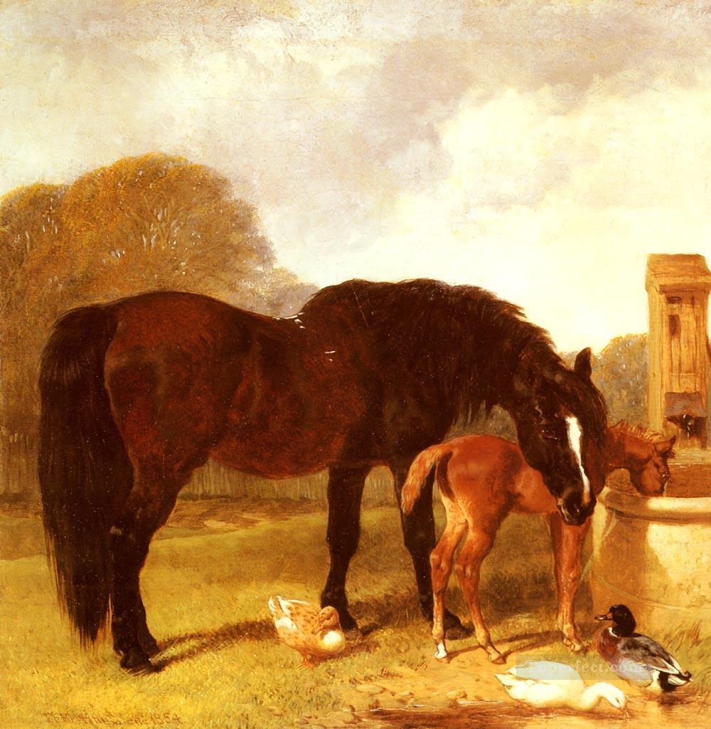 馬と子馬の谷で水をやるニシン シニア ジョン フレデリック油絵